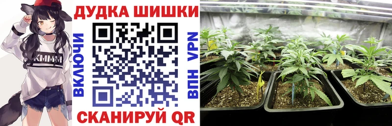 Купить NBOMe Меф Alpha-PVP Бошки Шишки COCAIN Краснозаводск