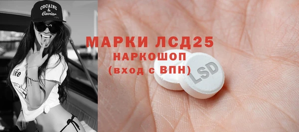 шишки Лагань