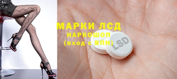 шишки Лагань