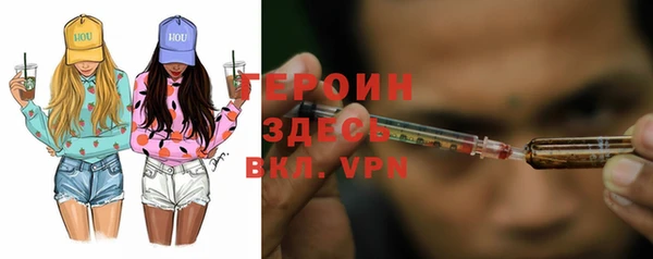 PSILOCYBIN Ладушкин