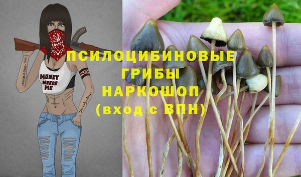 гидра Куйбышев