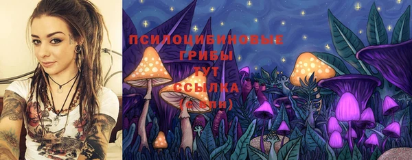 бошки Кукмор
