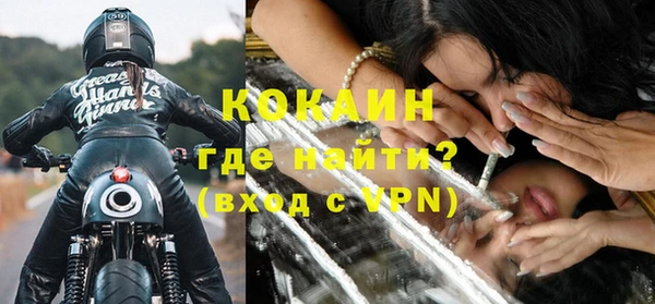 шишки Лагань