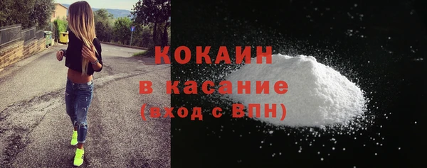 шишки Лагань