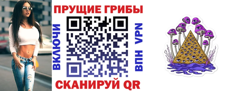 Псилоцибиновые грибы Psilocybe  Купить где  Краснозаводск 